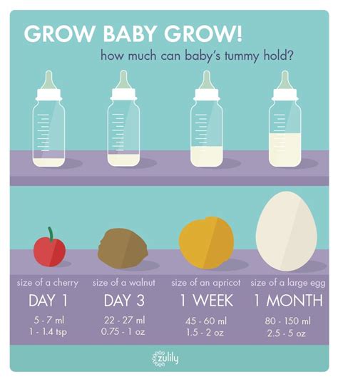 How many ounces does a newborn need. bottleEvent_Pin_newborn_stomach | Baby stomach size ...