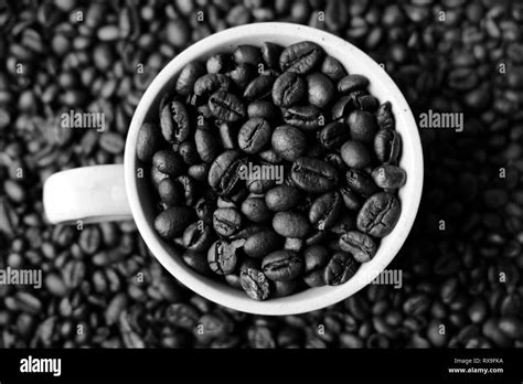 En Blanco Y Negro De Granos De Café En La Taza Fotografía De Stock Alamy