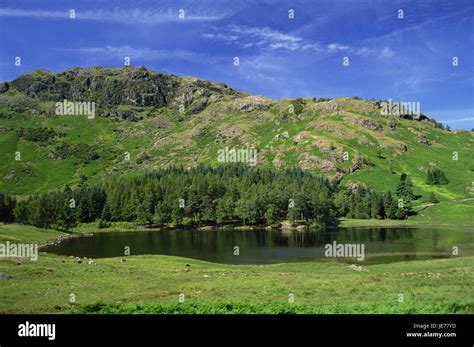 Nature Mountain Trees High Resolution Stock Photography And Images Alamy