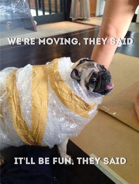 Moving Day Memes