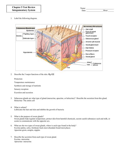 Label A Diagram Of The Skin Mrs Sanborns Science Class