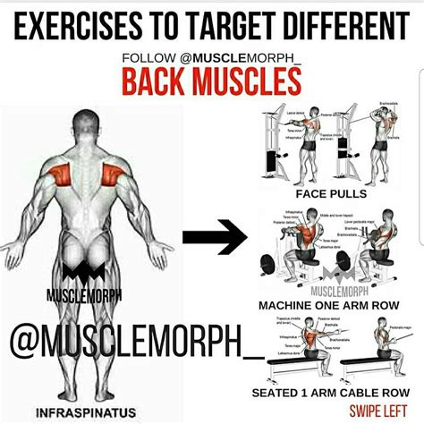 Your ab muscles help your lower back muscles to keep your spine neutral when you squat. Back muscles training