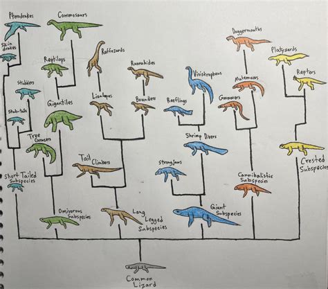 A Lizards Kingdom Cladogram From The Seeding To The End Of The