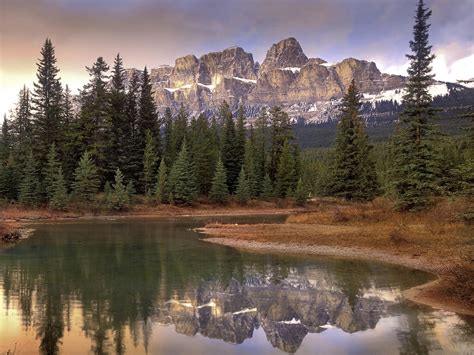 Boreal Forest Biome