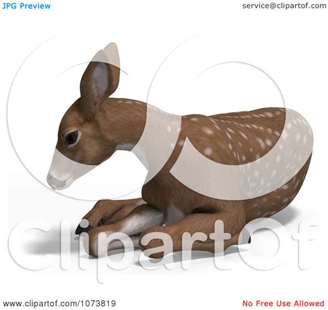 Clipart 3d Baby Yearling Deer Fawn Resting 2 Royalty Free Cgi