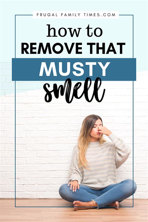 How To Get Rid Of Musty Smells In Cabins Basements And More 11 Simple