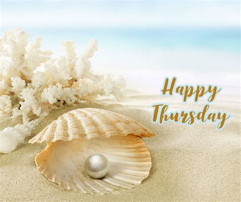 Happy Thursday | Happy thursday, Wednesday morning, Happy