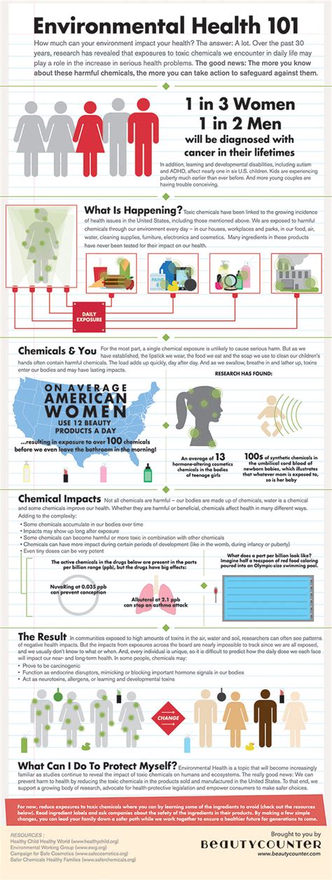 Environmental Health 101 Infographic Toxic Free Future