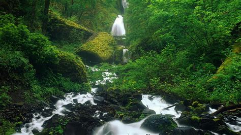 Hd Wallpaper Waterfall Timelapse Stream Rocks Stones Forest Hd Nature