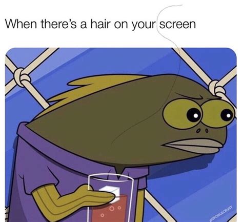 When Theres A Hair On Your Screen Memes
