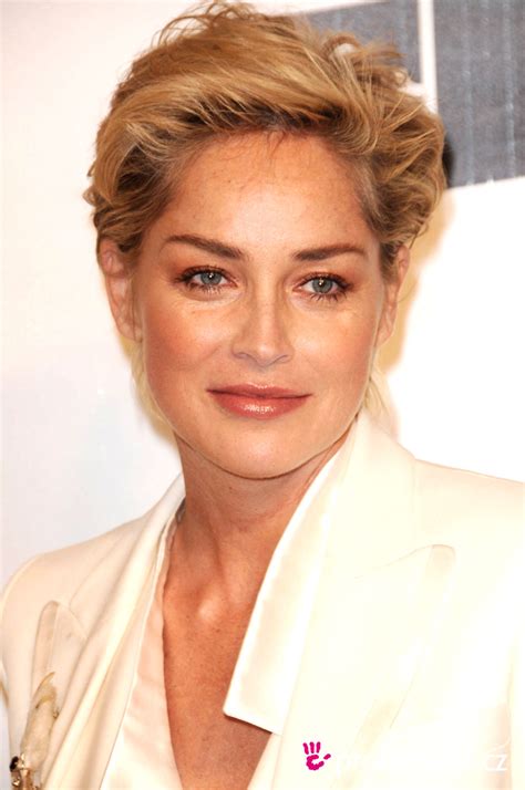 Sharon vonne stone (born march 10, 1958) is an american actress, producer, and former fashion model. Sharon Stone - - hairstyle - easyHairStyler
