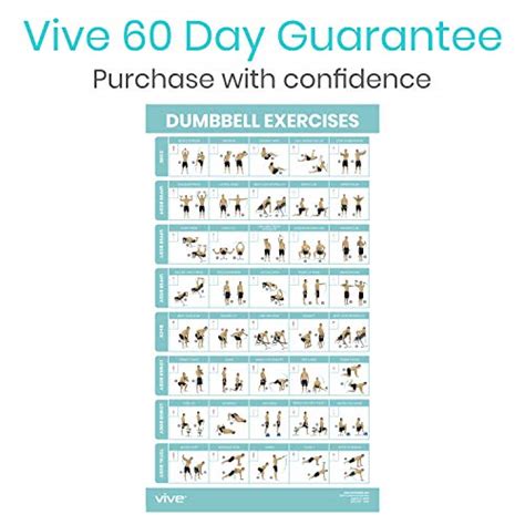 Vive Dumbbell Workout Poster Home Gym Exercise For Upper Lower Full Body Laminated