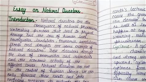 Essay On Natural Disaster Nature Disaster Essay In English For