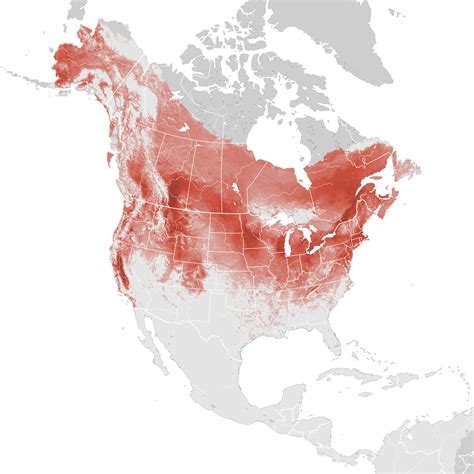 Tree Swallow Abundance Map Breeding Ebird Status And Trends