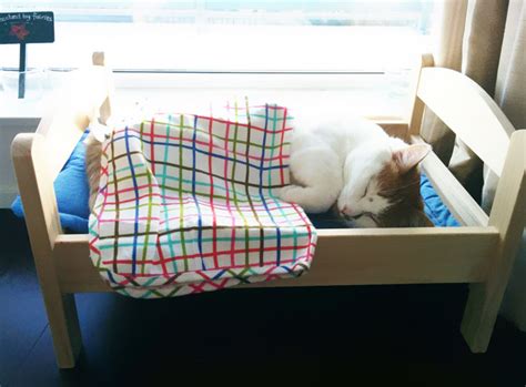 Japanese Cat Owners Turn Ikea Doll Beds Into Adorable Cat Beds Bored