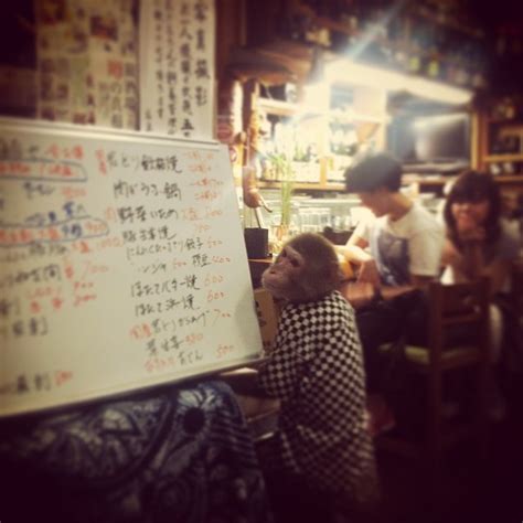 居酒屋かやぶき 日本最大級のsns映え観光情報 スナップレイス