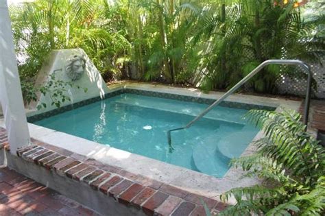 The Dipping Pool In The Rear Tropical Garden Picture Of Artist House