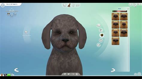 Sims 4 Cats And Dogs Create A Pet Challange Sso Club Eddition Bonus