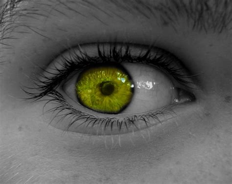 Green Eye Älteres Foto Zweckentfremdet Augenfarbe Helli Flickr