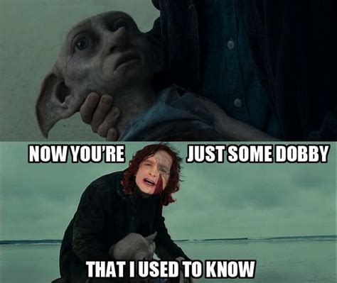 Some Dobby That I Used To Know Rharrypotter