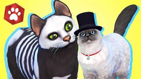 Create A Pet Walkthrough The Sims 4 Cats And Dogs Youtube