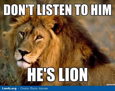 19 Funny Lion Meme That Make You Laugh All Day Memesboy