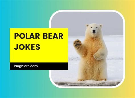 141 Polar Bear Jokes Laugh Lore