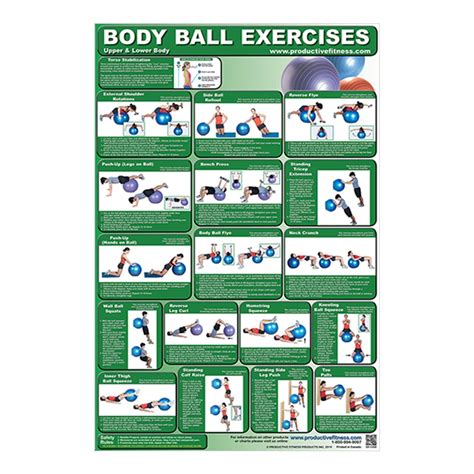 Body Ball Exercise Chart Upperlower Body Power Systems