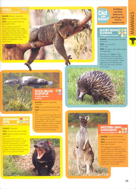 National Geographic Kids Animal Encyclopedia 2nd Edition National