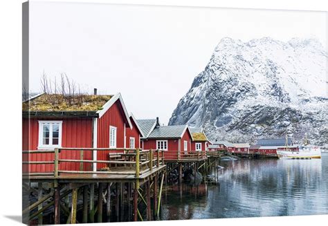 Thatched Roofed Red Cabins With Reinebringen Mountain Lofoten Islands