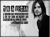 Cool Vegan Quotes