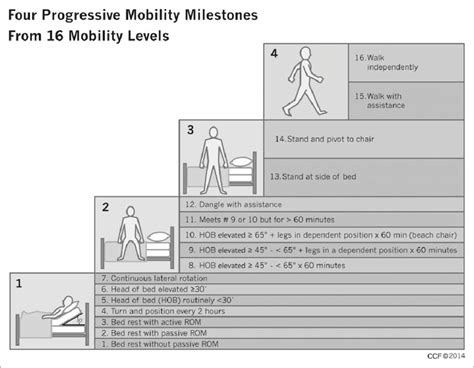 Four Progressive Mobility Milestones From 16 Mobility Levels These 16