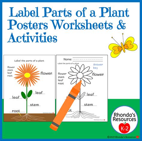 Parts Of A Plant Labeling Worksheet By Cristina Schub