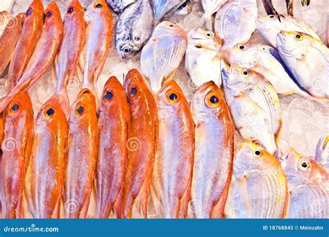 Whole Fresh Fishes Are Offered In The Fish Market Stock Image Image