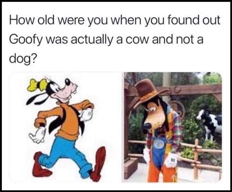 Is Disneys Goofy Character Actually A Cow