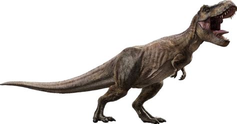 Indoraptor Jurassic Park Wiki Fandom Powered By Wikia Dinosaurios