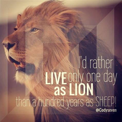 Lion Pride Quotes Quotesgram