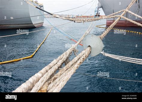 Rat Guards On Ship Mooring Rope To Prevent Rats Getting Aboard Stock