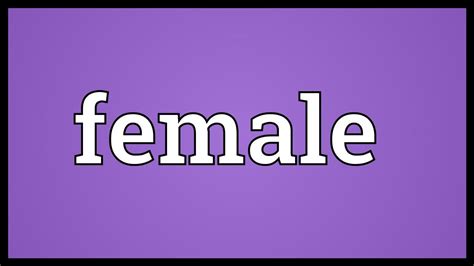Female Meaning Youtube