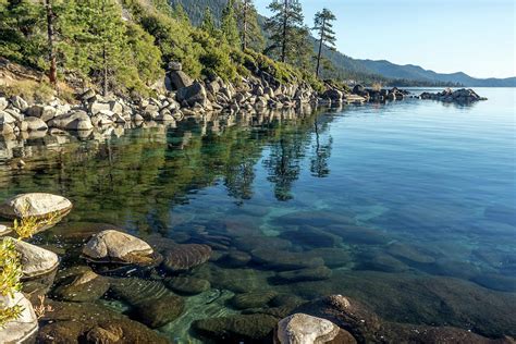 Crystal Clear Water In Rocky Lake Tahoe With Trees Reflecting Against