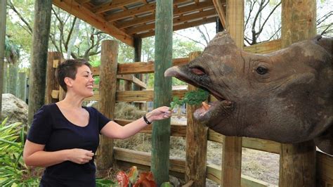 A Woman Is Feeding An Elephant Some Carrots In Her Hand While Standing