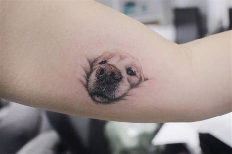 500 Best Unique Dog Tattoo Ideas Memorial Outline Portrait More Artofit