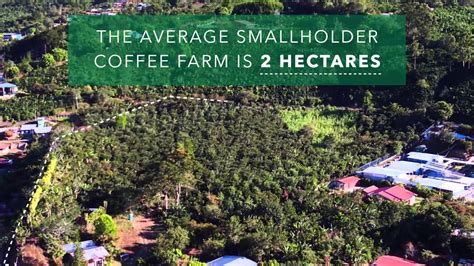Survey acre a hectare is approximately 250% of an acre. How big is a hectare? - YouTube