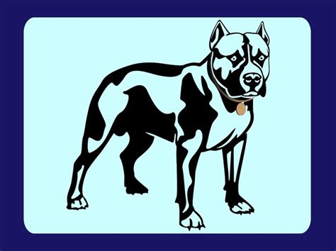 The formal breeds that are usually considered to be of the bully type include the american staffordshire terrier, the the american bully is a very popular and more recent type of pitbull breed. Pit Bull Vector Vector Art & Graphics | freevector.com