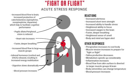 The Role Of Stress On Recovery Biokineticist Andries Lodder Bio4me