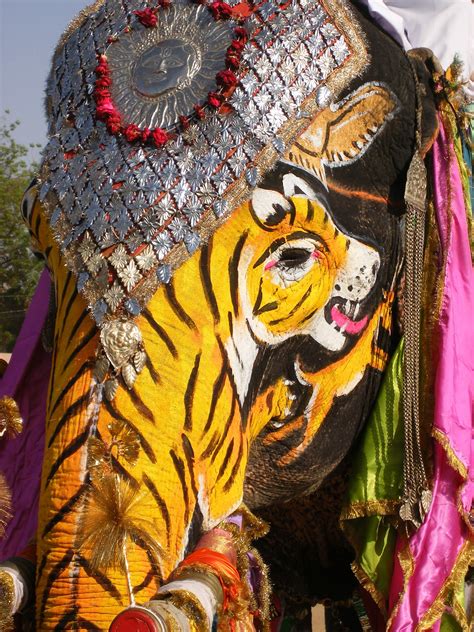 Holi Festival In Jaipur Holi Festival Elephant Face Holi Festival
