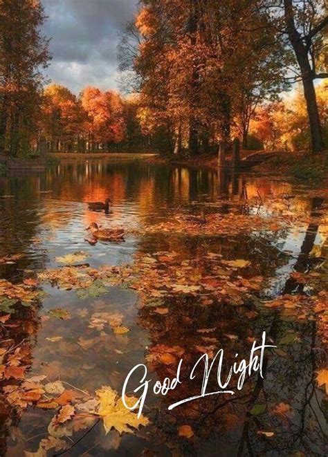 Good Night Autumn Scenery Beautiful Nature Fall Pictures