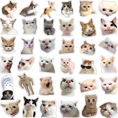 buy 36 funny cat stickers pack hilarious cat meme decals set waterproof graphic cat face