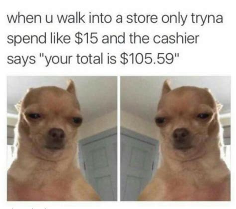 Chihuahua Meme Face