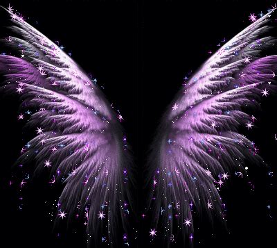 Wings GIF - Find on GIFER